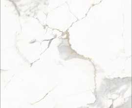 Керамогранит Staro Calacatta Blonde Polished 60x60