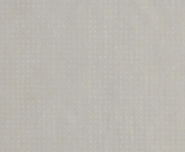 Керамогранит FAP Ceramiche fQQX Rooy Grey Matt 40x80