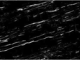 Керамогранит Staro PORTORO SILVER Polished 240x80