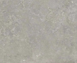 Керамогранит Ariana Ceramica 0012928 Memento Bruges Grey Nat Rett 60x120