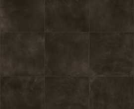 Керамогранит Ariostea Ebano 100x100