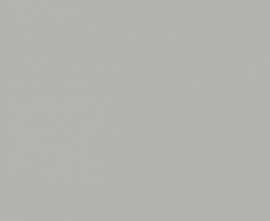 Керамогранит Tau Ceramica Tornares Zumaia Silver Rec 60x120