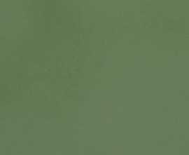 Керамогранит Casalgrande Padana R-Evolution Green 36SC R10 60x120