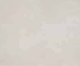 Керамогранит Casalgrande Padana 11720026 R-Evolution Total White 9mm 60x120