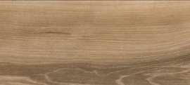Керамогранит Alaplana Ceramica GOA CAOBA Ret. 23x120