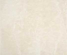 Керамогранит Alaplana Ceramica DUMBRIC BONE RECT 74,4x74,4