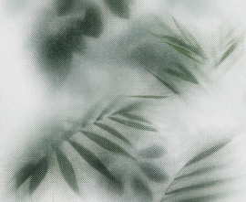 Керамогранит Flaviker PF60010092 Art Walls Beyond Lux R 120x280