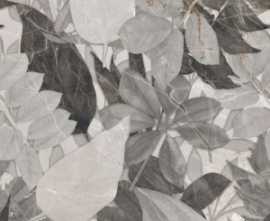 Декор La Fenice 12GNDEC02RET Genesis Decoro Flora Cold Rett R10 60х120