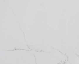Керамогранит Rak Ceramics INDUS STATUARIO LAPPATO 60x60