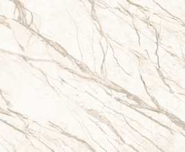 Керамогранит Pieza Ceramica PR016060N Prima коричневый 60x60