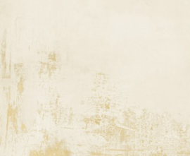 Керамогранит Apavisa IVORY NATURAL 49,75X99,55