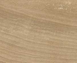 Керамогранит Geotiles Milton Miel 10*60