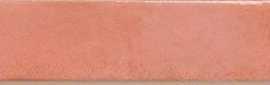 Керамогранит Sadon J92080 Colors Salmon 4,8x45