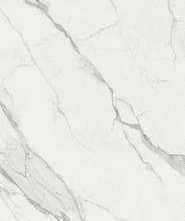 Керамогранит Gardenia Orchidea PF610598 Statuario Premium Lux 120x280