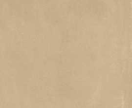 Керамогранит Caesar AGNR Prima Sienna Soft 60x120