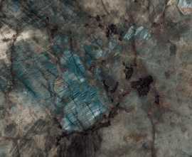 Керамогранит Ocean-Ceramic Trixxon Fern Glossy 60x120