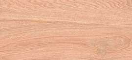 Керамогранит ITC Ariana Wood Brown Matt 20x120