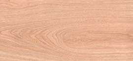 Керамогранит ITC Ariana Wood Brown Carving 20x120