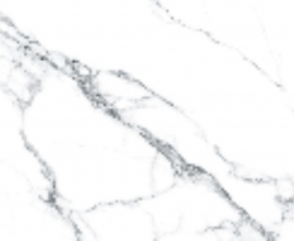 Керамогранит Prissmacer Statuariett White Pulido 60x120