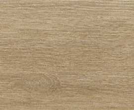 Керамогранит Prissmacer Trunk Honey 23x120