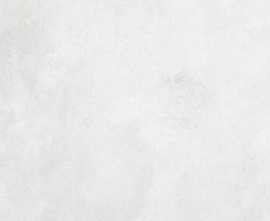 Керамогранит Neodom N12610 Concrete White Matt 60x120