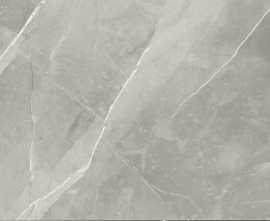 Керамогранит Neodom N70005 Fior Di Bosco Polished 60x120