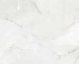 Керамогранит Neodom N12022 Onyx Moon Polished 60x120