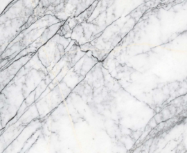 Керамогранит Maimoon Ceramica SPIDER WHITE GLOSSY 60x120