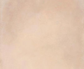 Керамогранит Dado Ceramica 302886 Basic Beige Rett R9 60x60