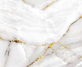 Керамогранит Pardis Ceramic Pazh 1203 Statuario Gold 60x120