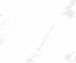 Керамогранит Art&Natura Ceramic Calacata White Satin Matt 60x120