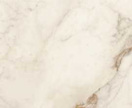 Керамогранит La Fenice Florida Warm Reactive 3D Rett 60х120