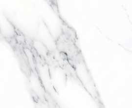 Керамогранит Neodom N20397 Calacatta Classico Matt 80x80