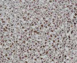 Керамогранит Gambini D_Lash Deep Pink 60x60
