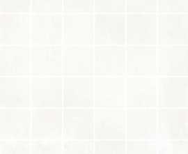 Мозаика Polcolorit DG-1-METRO BI MOZ С 30x30