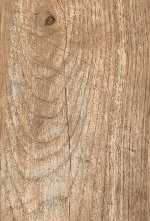 Керамогранит Polcolorit Foresta PG-Beige 15x60