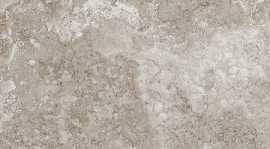 Керамогранит Gardenia Orchidea 76022 ESEDRA 2.0 GRIGIO 20x80