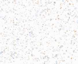 Керамогранит Italica Tiles Muria Cherry Fusion 60x120