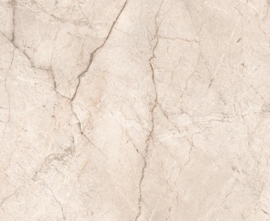 Керамогранит Ocean-Ceramic Silver Root Pearl 80х160