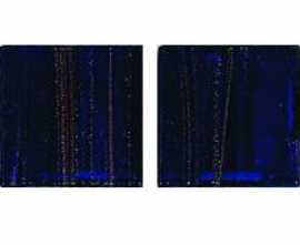 Мозаика JNJ Mosaic GC 61 2x2