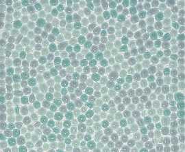 Colori Viva CV10011 Мозаика 30x30