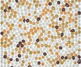 Colori Viva CV10010 Мозаика 30x30