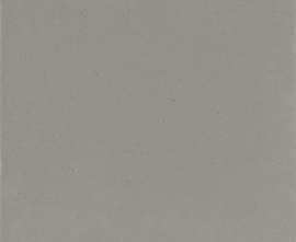 Клинкерная плитка Canada Gres Natura 013 Grey R11 244x244x14