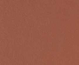 Клинкерная плитка Canada Gres Natura 018 Red R11 244x244x14