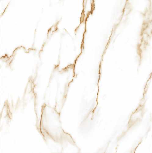 Керамогранит CSG Y99126 Глянец 80x80