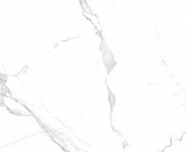 Керамогранит Alpas Euro Satvario Carving 60x120