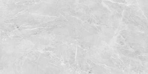 Керамогранит Neodom N20467 Eva Grey Polished 60x120