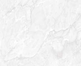Керамогранит Neodom N20481 Carrara Pearl Polished 60x120