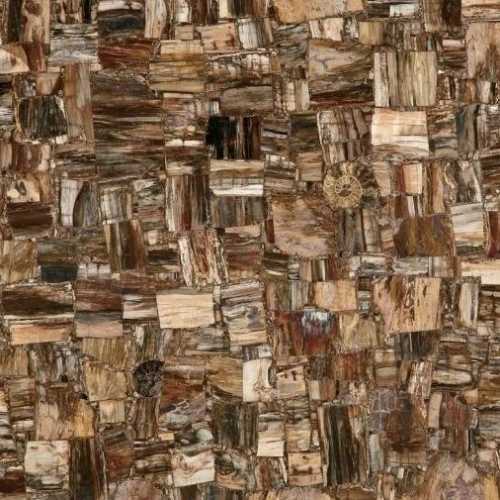 Керамогранит Marmocer MC-SP10 Petrified Wood (Party) (Compound With Granit) 100x100