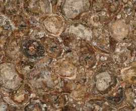Керамогранит Marmocer MC-SP09 Petrified Wood (Round) (Compound With Granit) 100x100